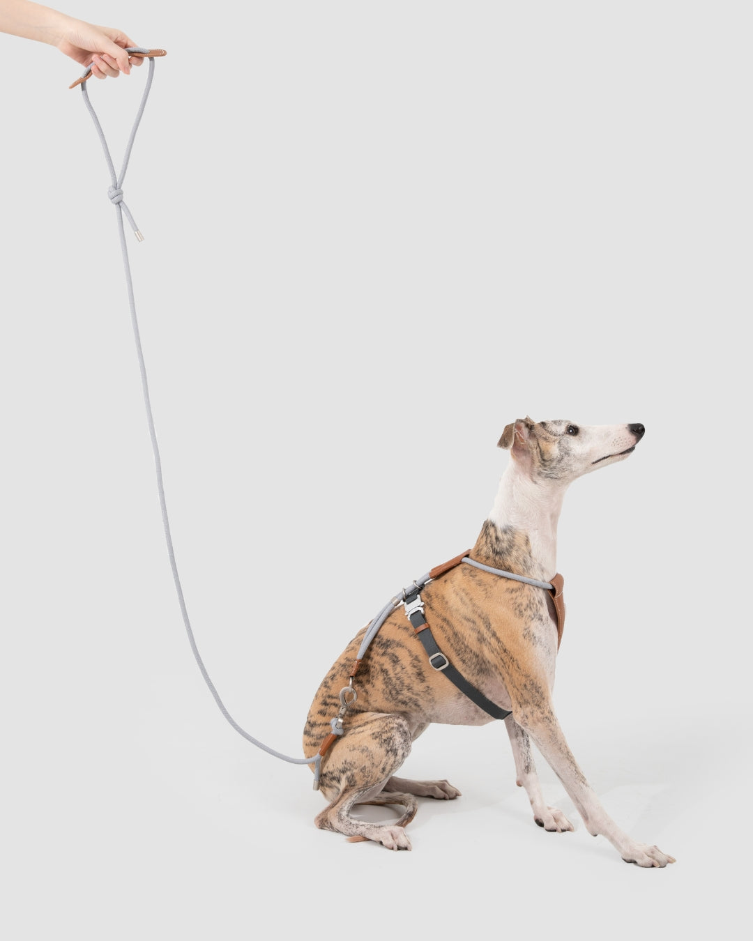 Leather Round Rope Dog Leash