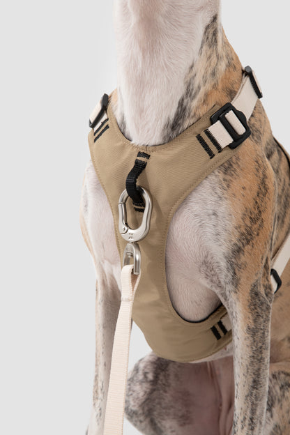 Comfort Sport Dog Harness