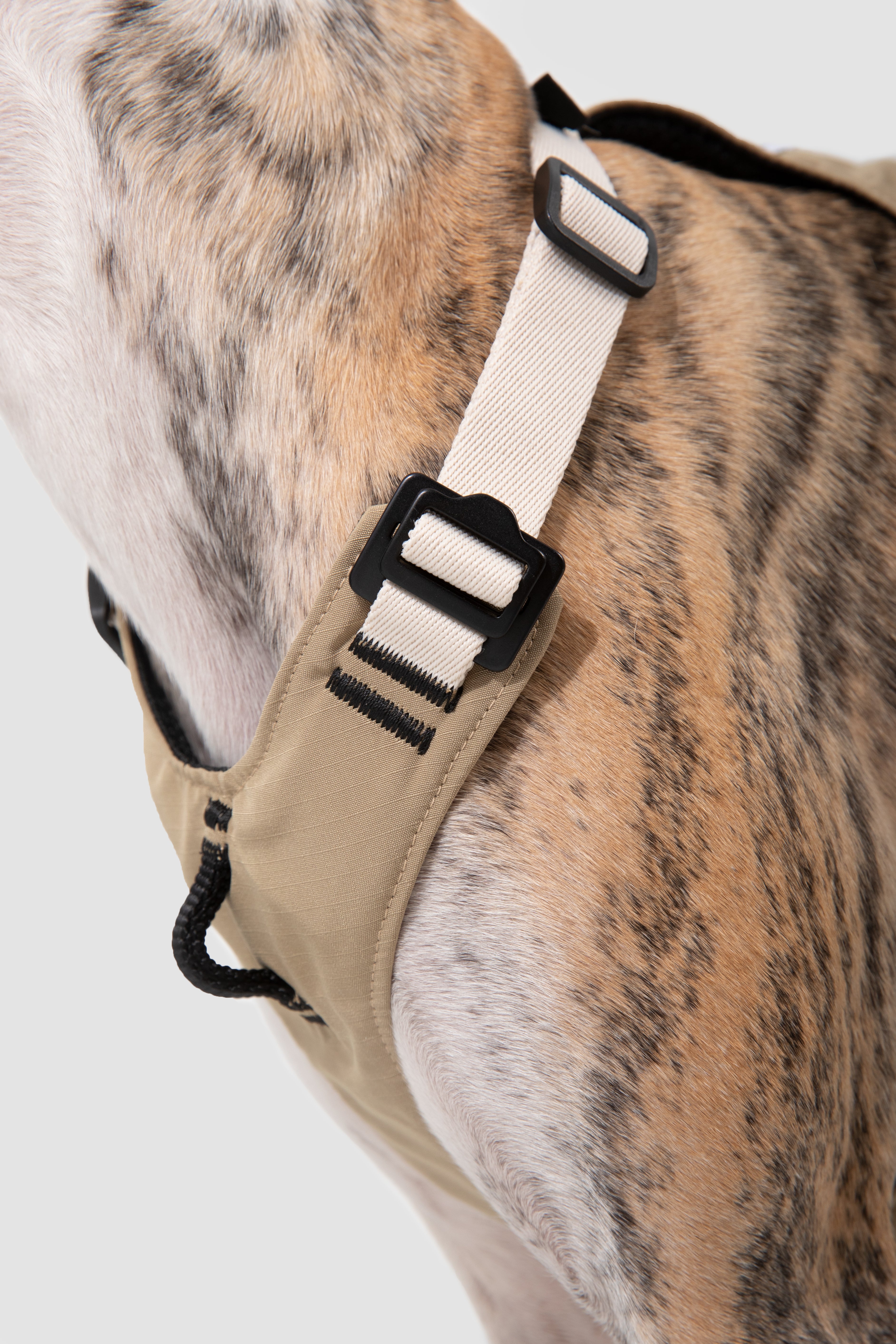 Comfort Sport Dog Harness