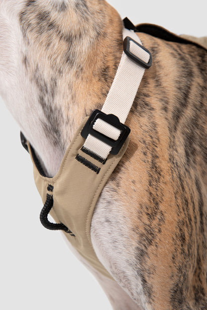 Comfort Sport Dog Harness