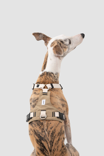 Comfort Sport Dog Harness
