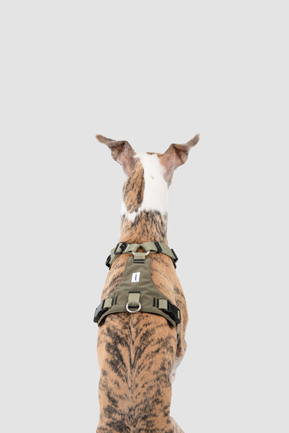 Comfort Sport Dog Harness