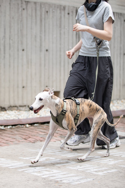 Comfort Sport Dog Harness