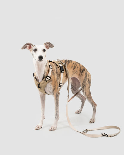 Comfort Sport Dog Harness
