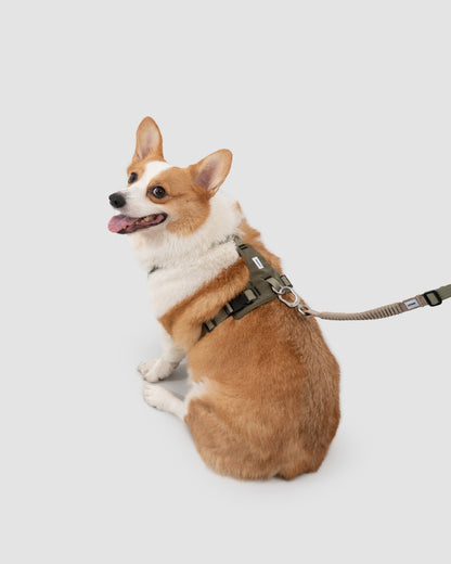Comfort Sport Dog Harness