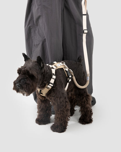 Comfort Sport Dog Harness