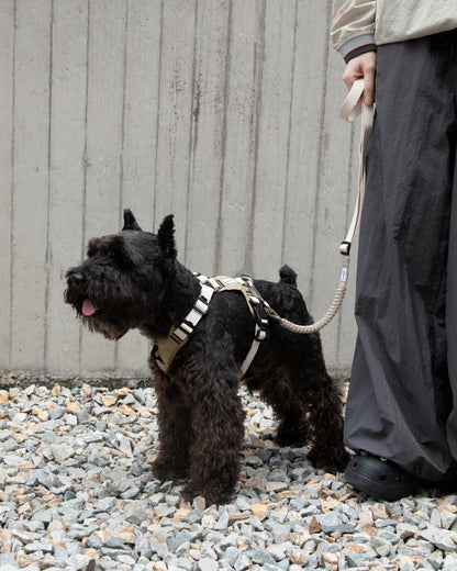 Comfort Sport Dog Harness