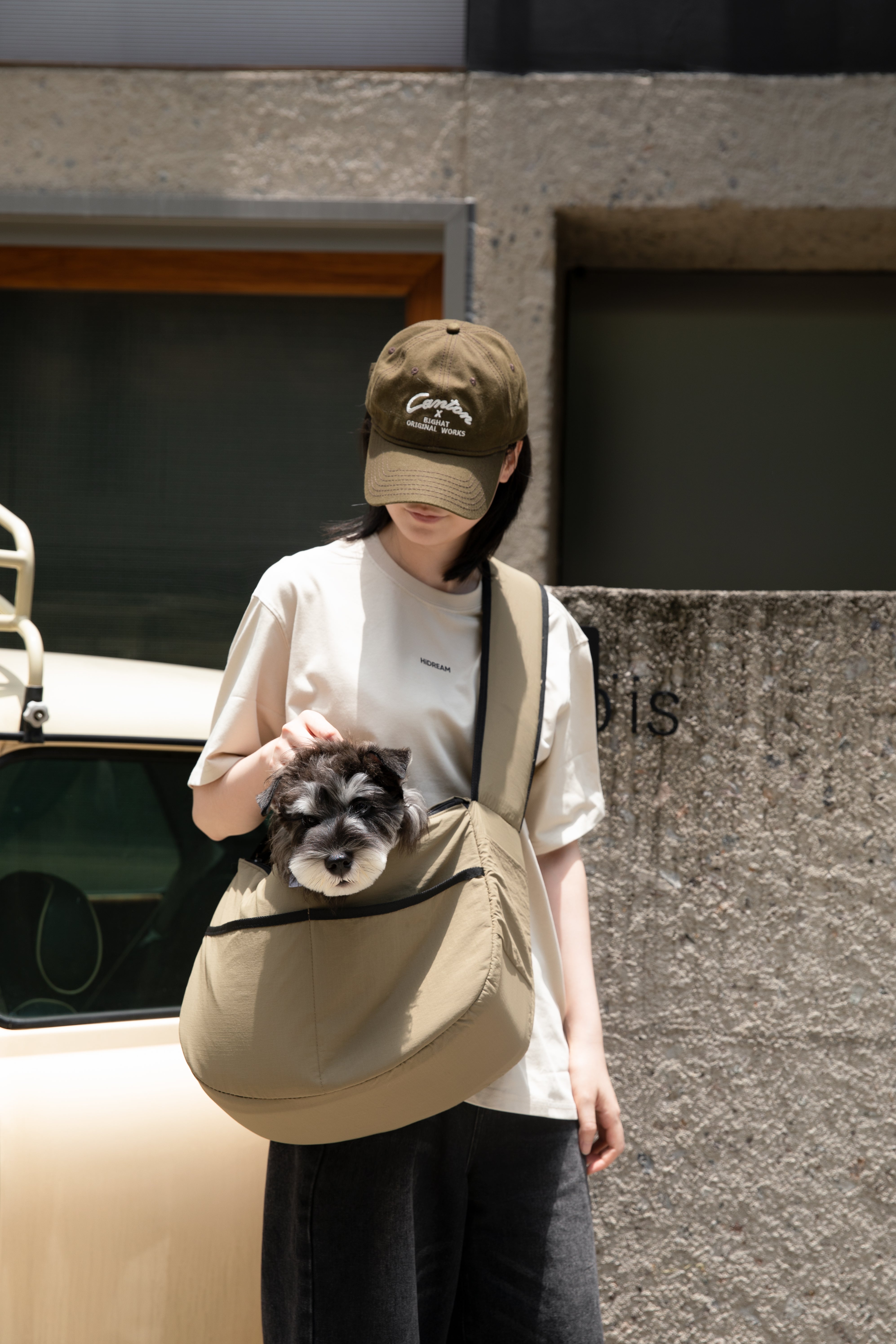 Urban Outdoor Pet Sling Bag