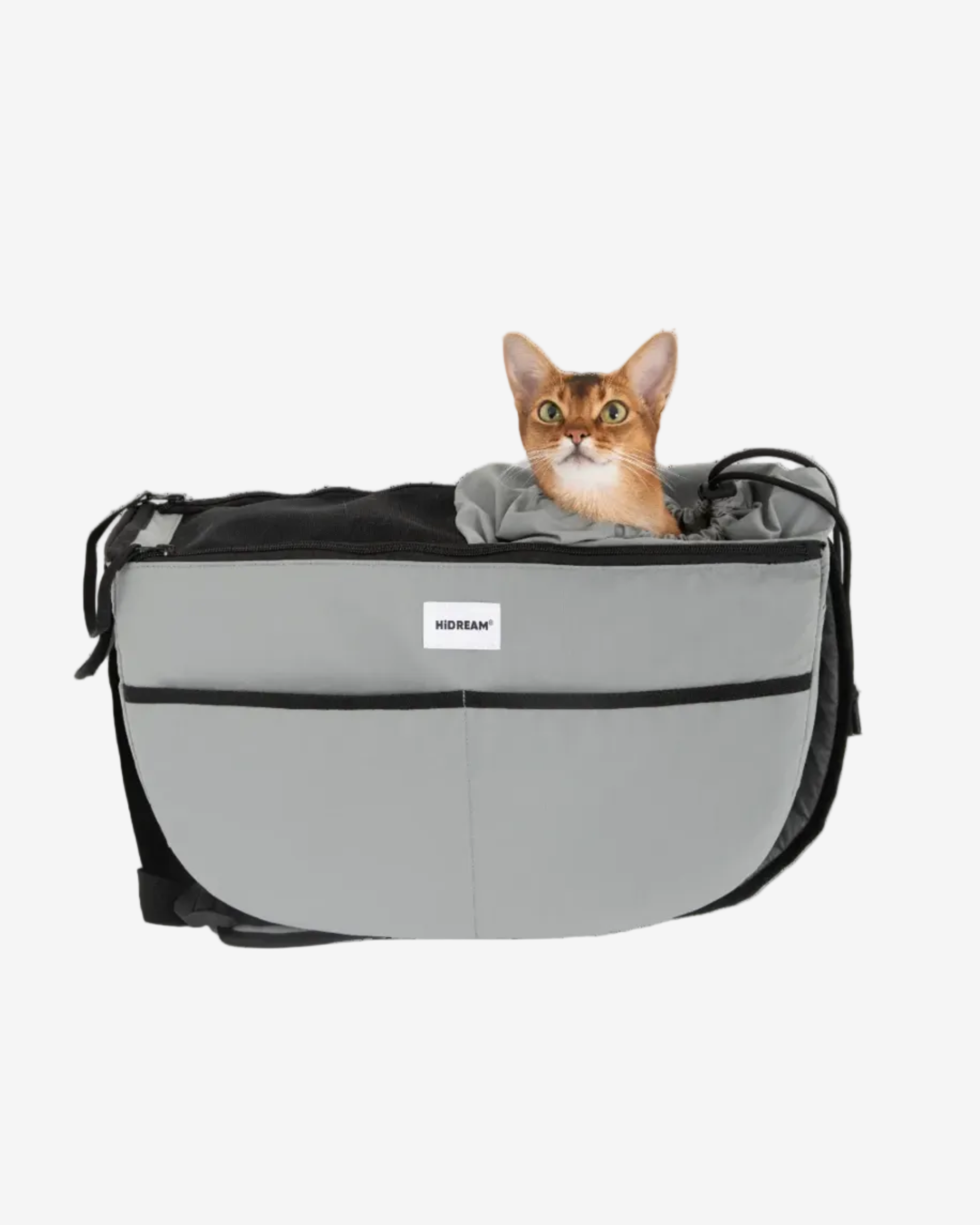 Gray pet carrier with a cat inside on a white background
