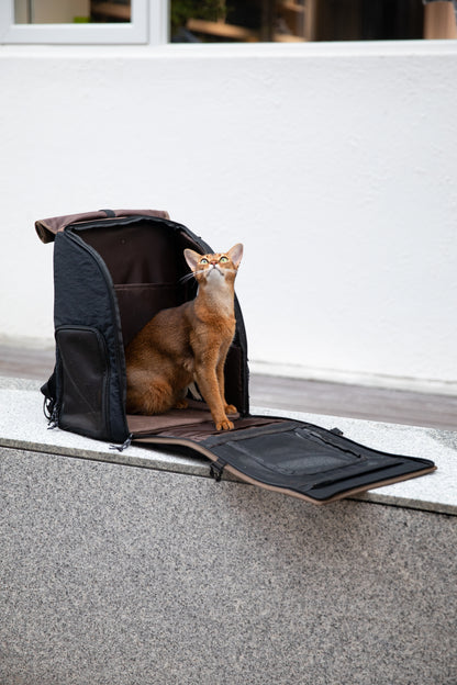Urban Explorer Pet Backpack
