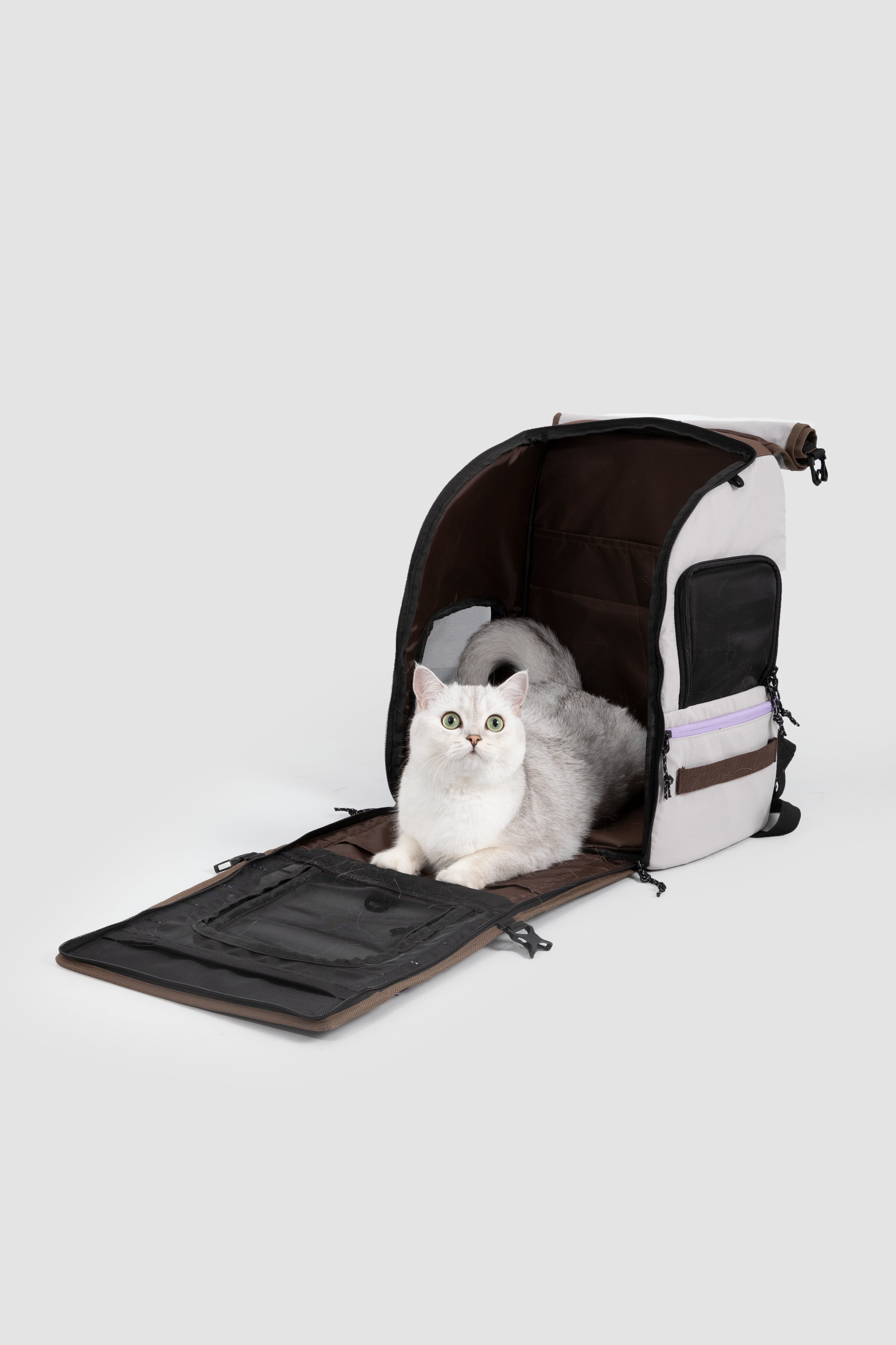Urban Explorer Pet Backpack