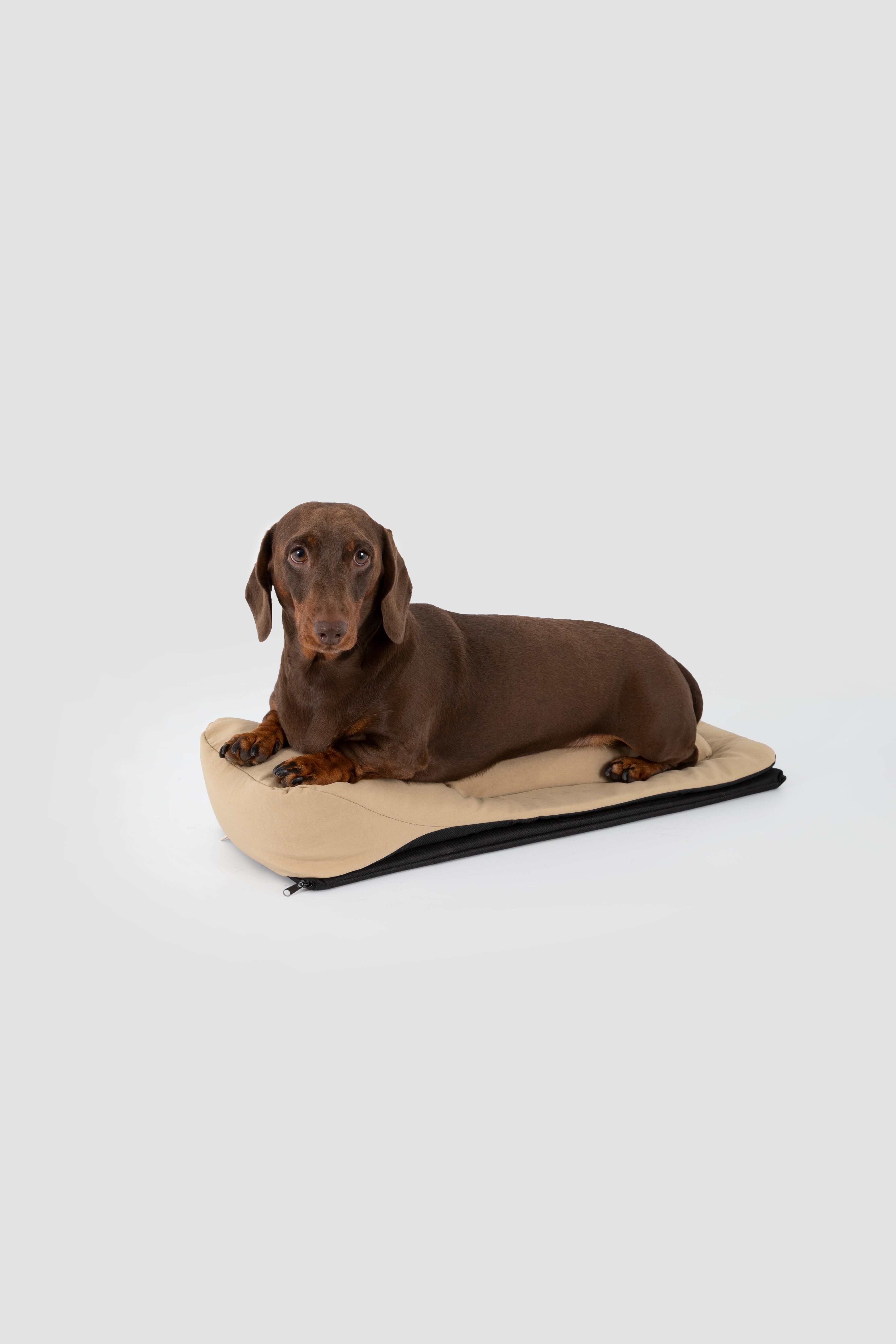 Dachshund Pet Shoulder Bag