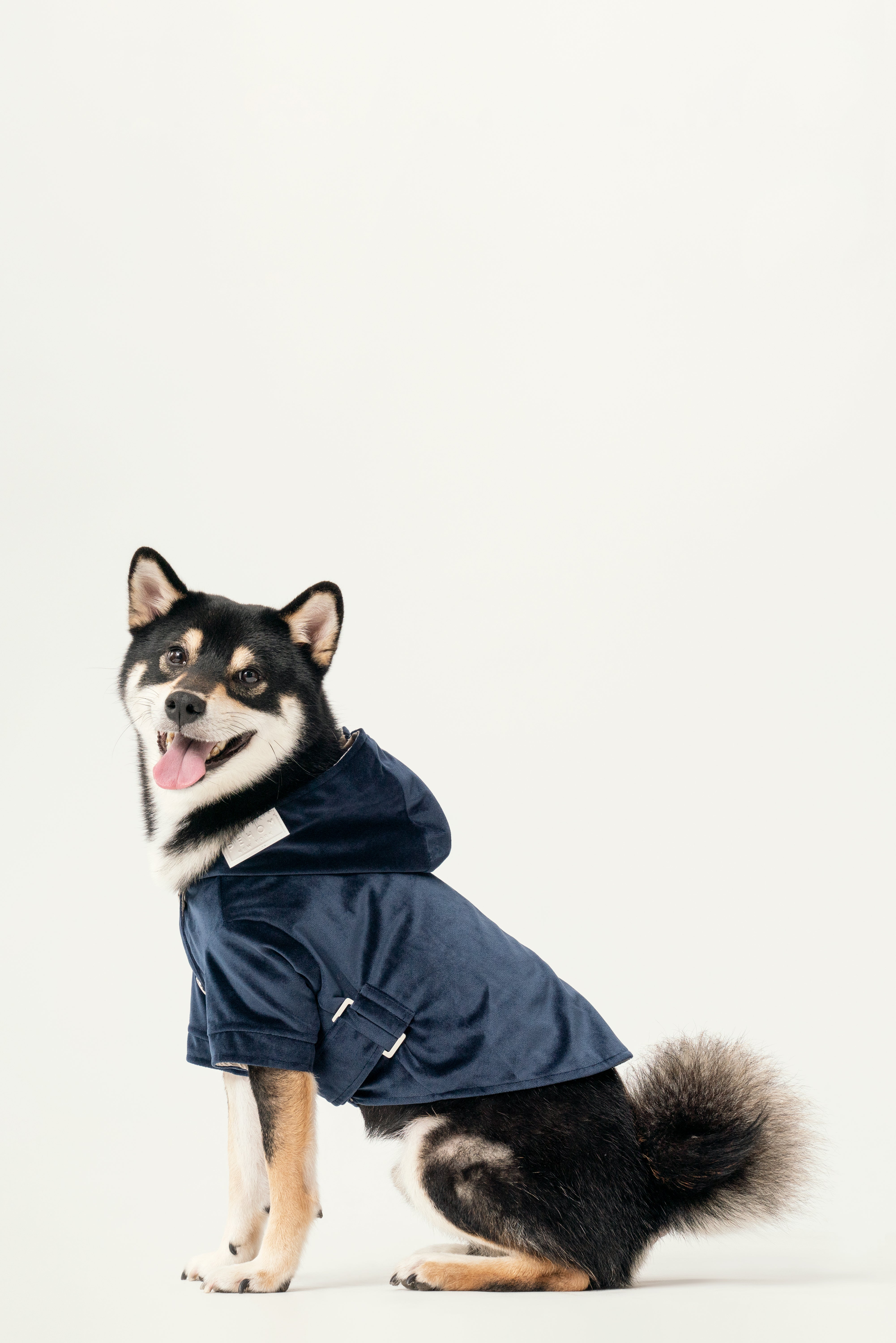 Huston Pet Hoodie