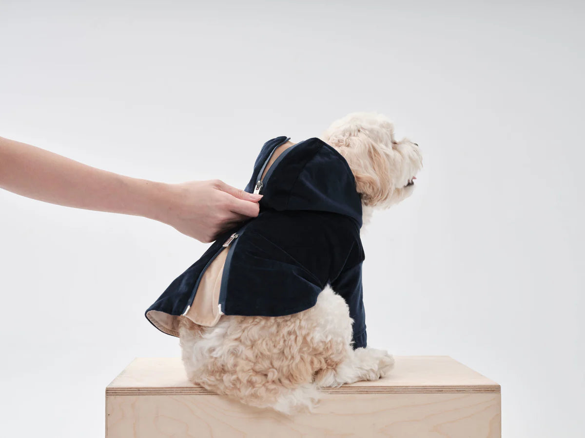 Huston Pet Hoodie