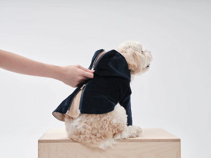 Huston Pet Hoodie