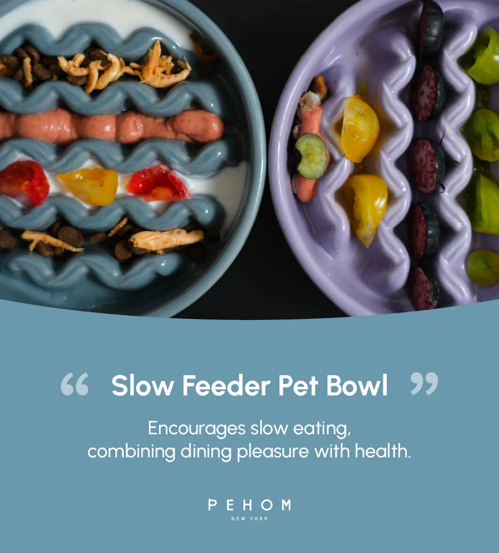 [MACRONI] Slow Feeder Dog Bowls - Purple