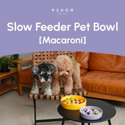 [MACRONI] Slow Feeder Dog Bowls - Purple