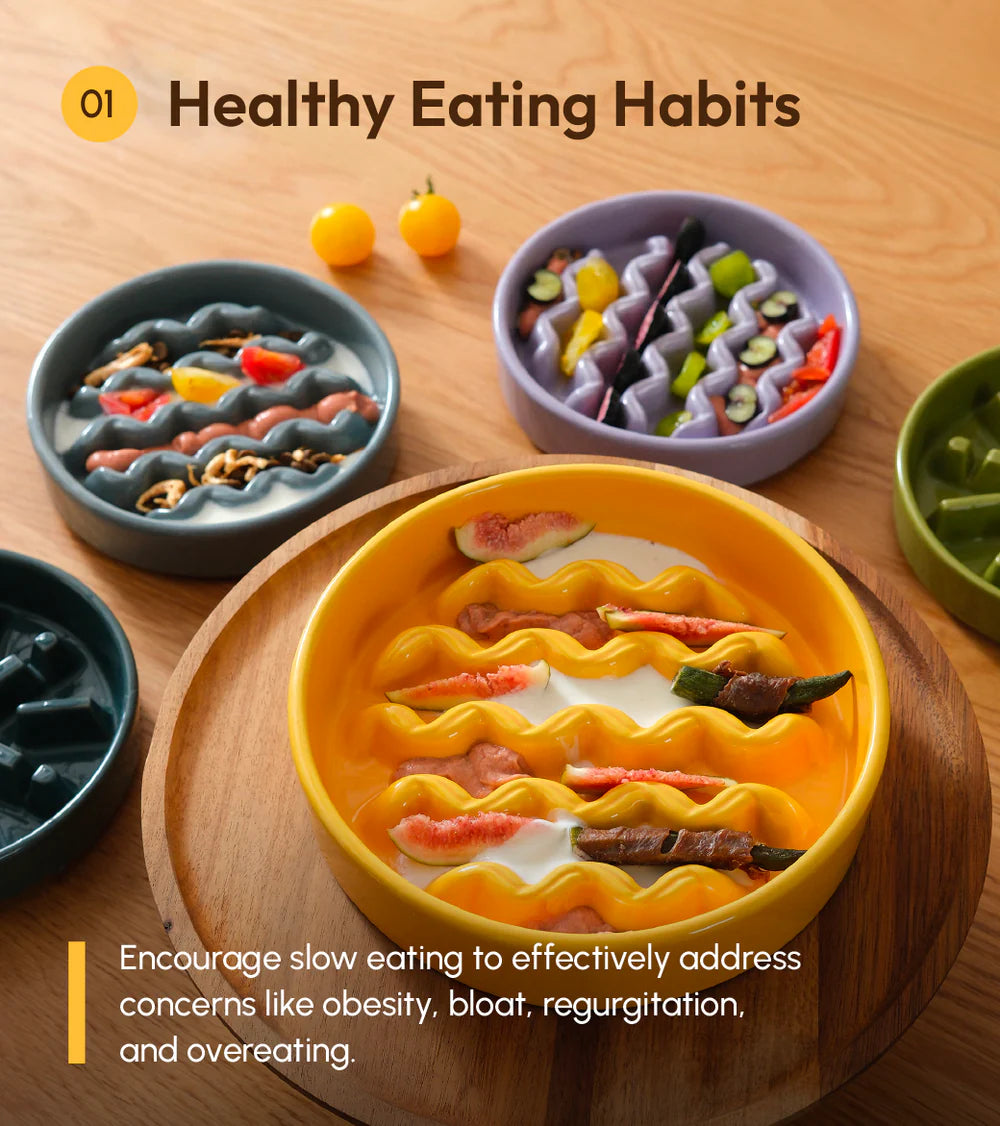 [MACRONI] Slow Feeder Dog Bowls - Purple