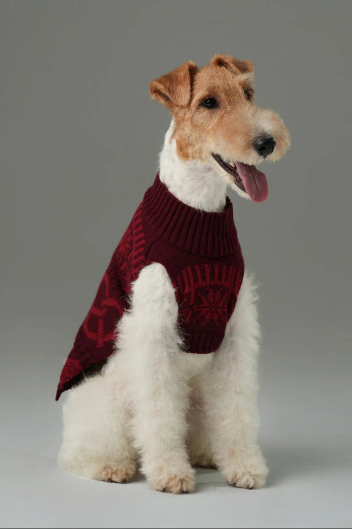 Pretzel Pet Sweater