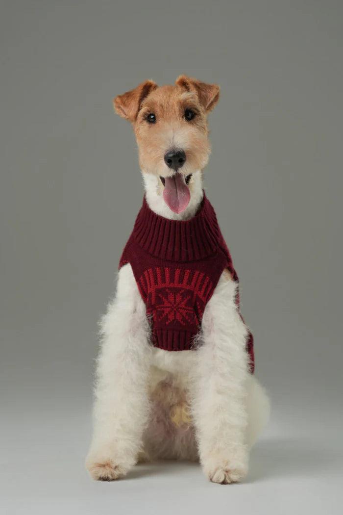 Pretzel Pet Sweater