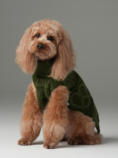 Pretzel Pet Sweater