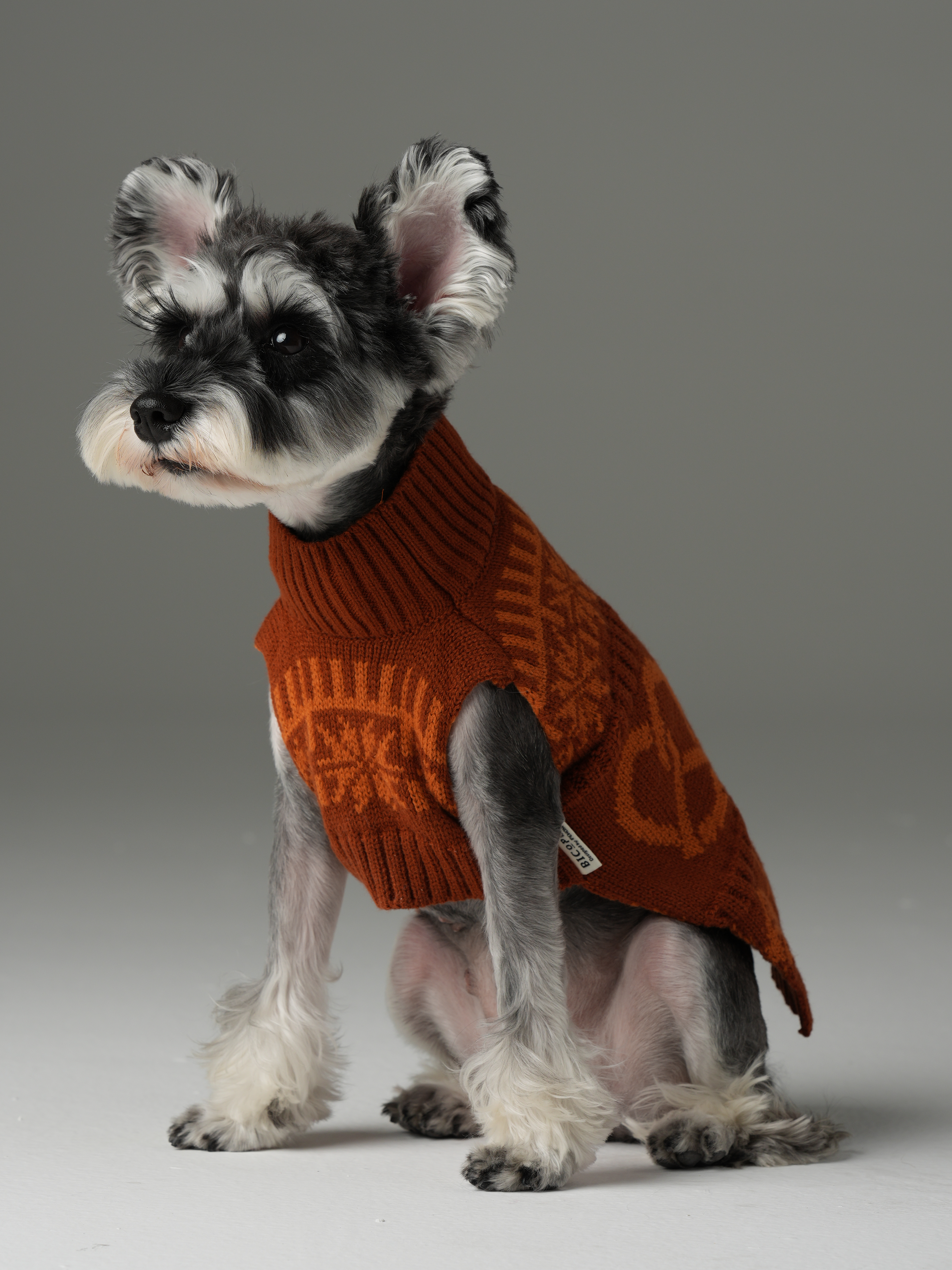 Pretzel Pet Sweater