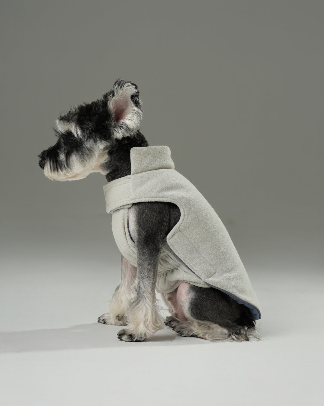 Reversible Dog Vest Jacket - Blue/White