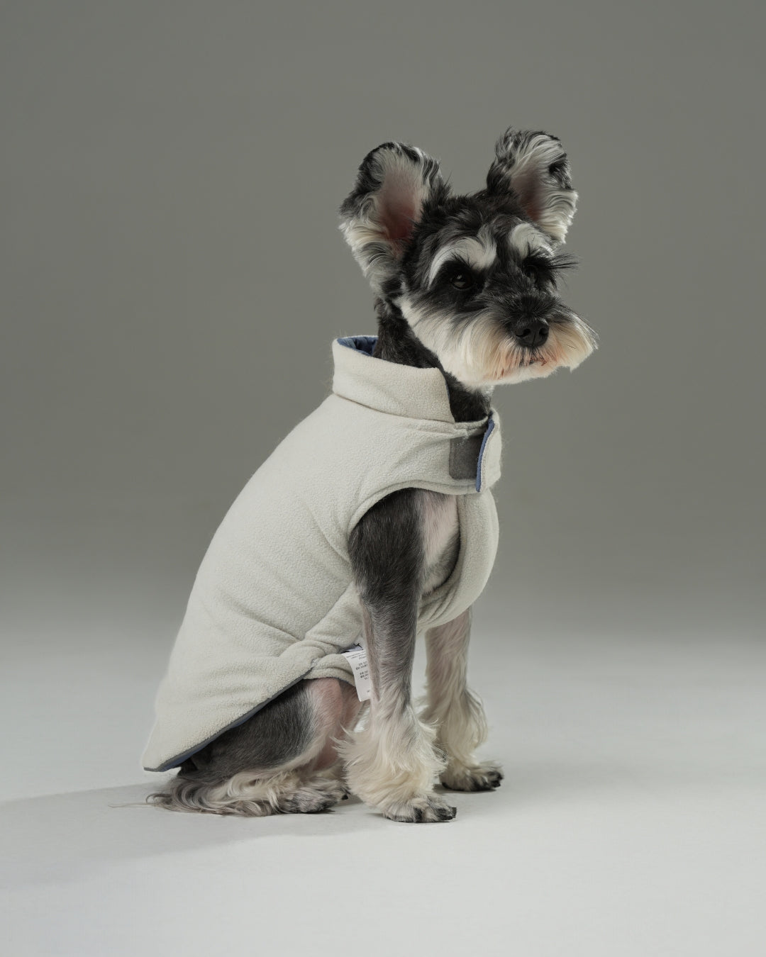 Reversible Dog Vest Jacket - Blue/White