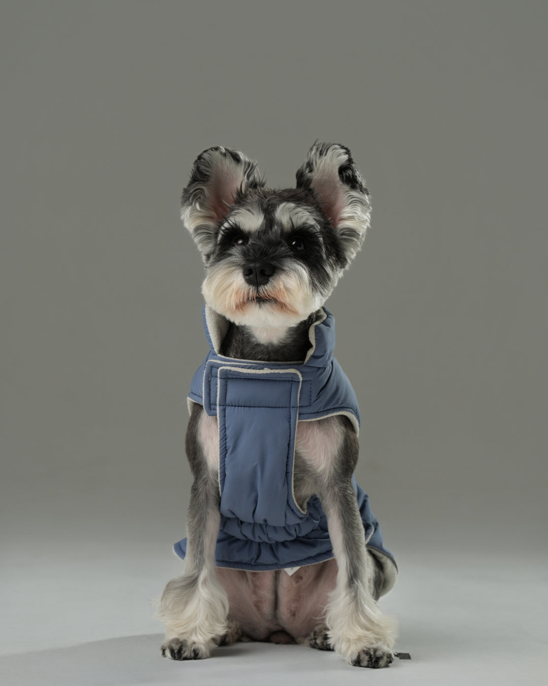Reversible Dog Vest Jacket - Blue/White