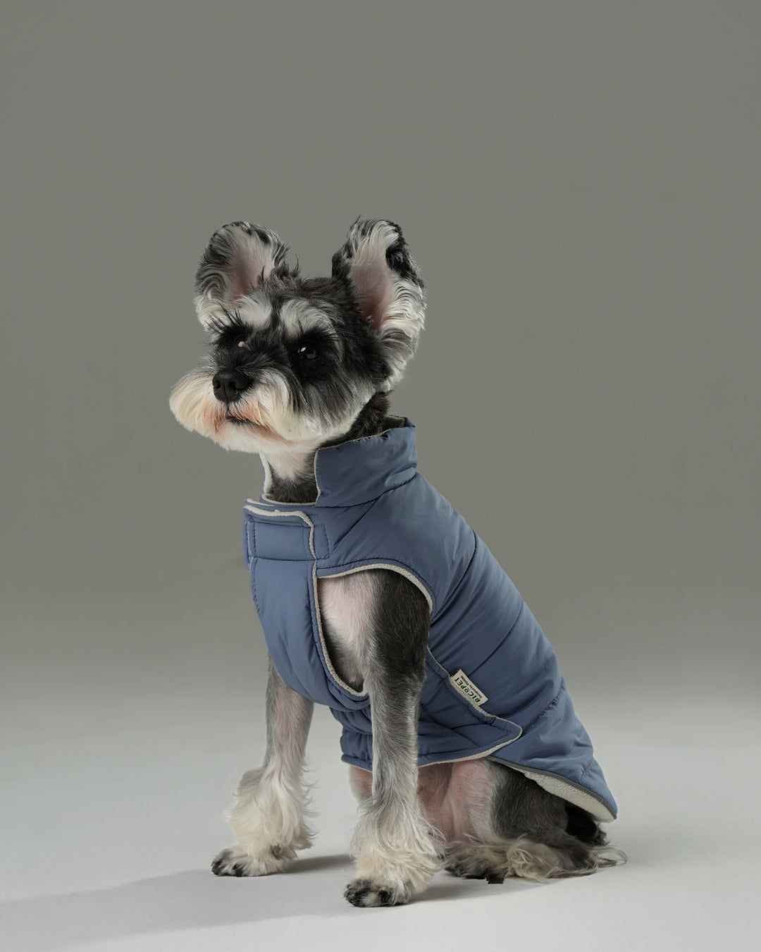 Reversible Dog Vest Jacket - Blue/White
