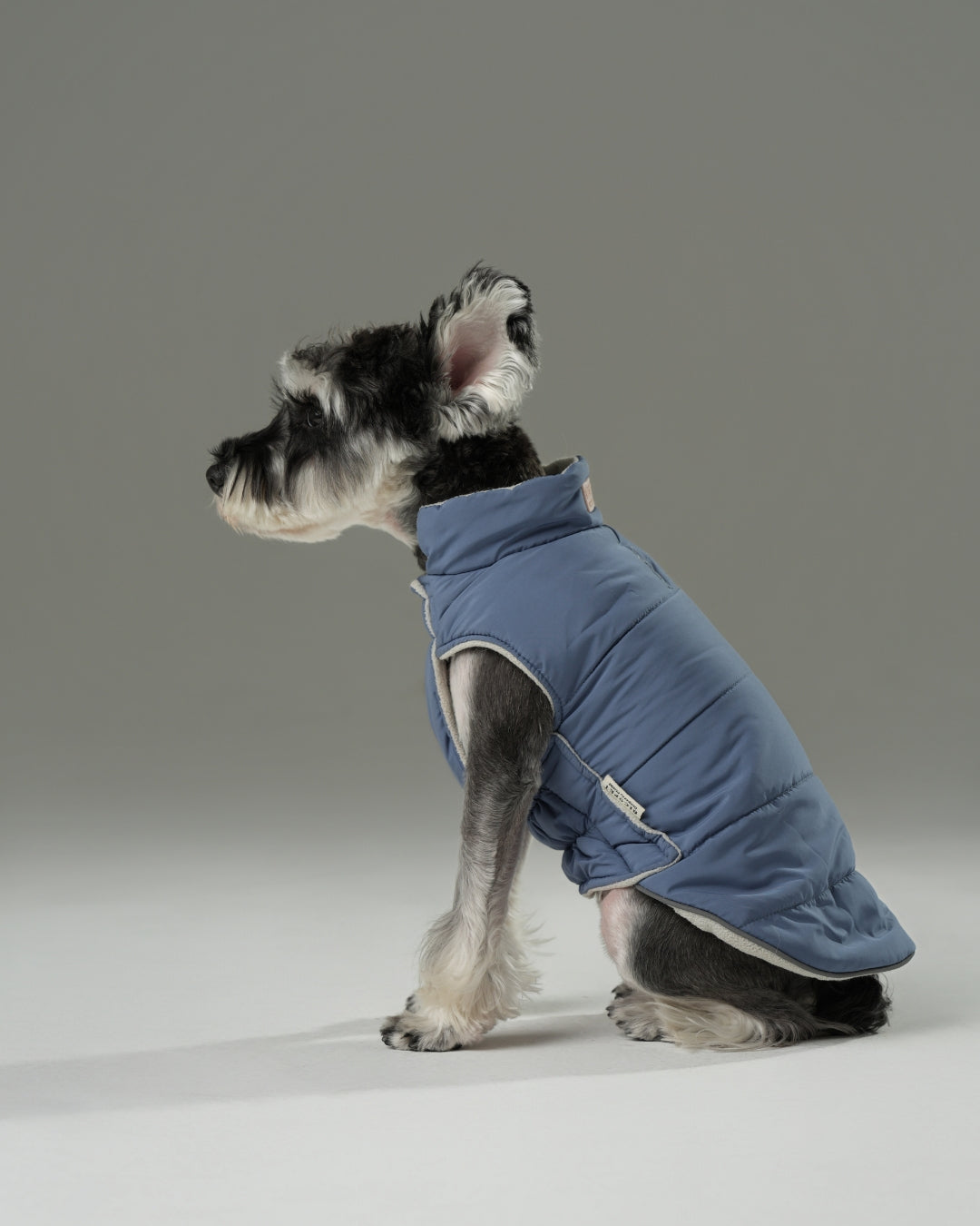Reversible Dog Vest Jacket - Blue/White