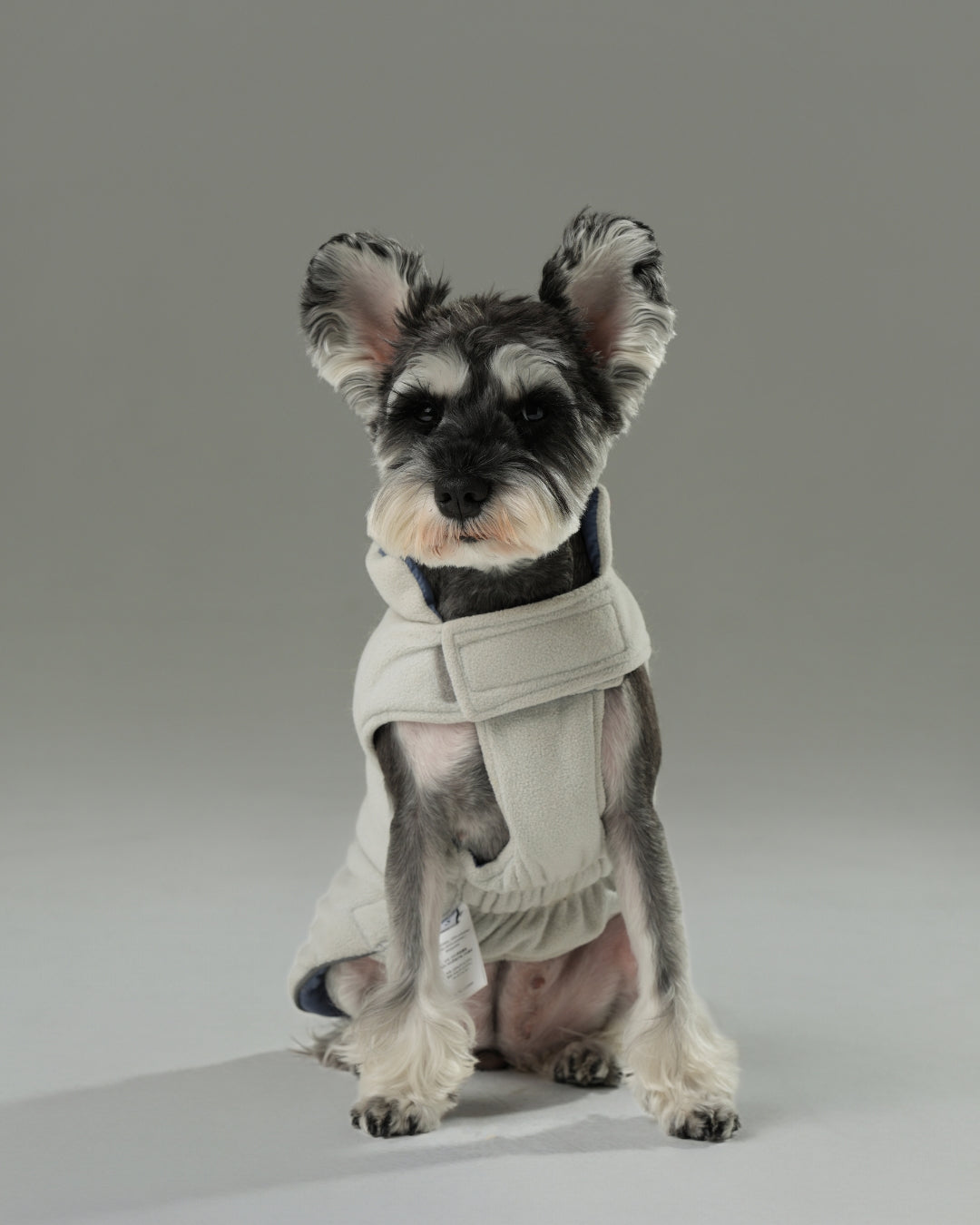 Reversible Dog Vest Jacket - Blue/White