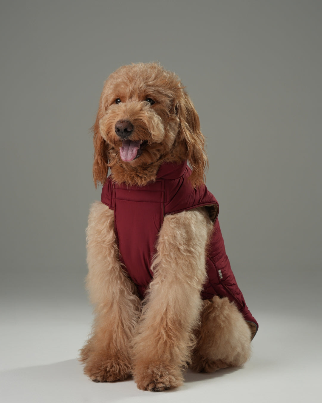 Reversible Dog Vest Jacket - Red/Brown