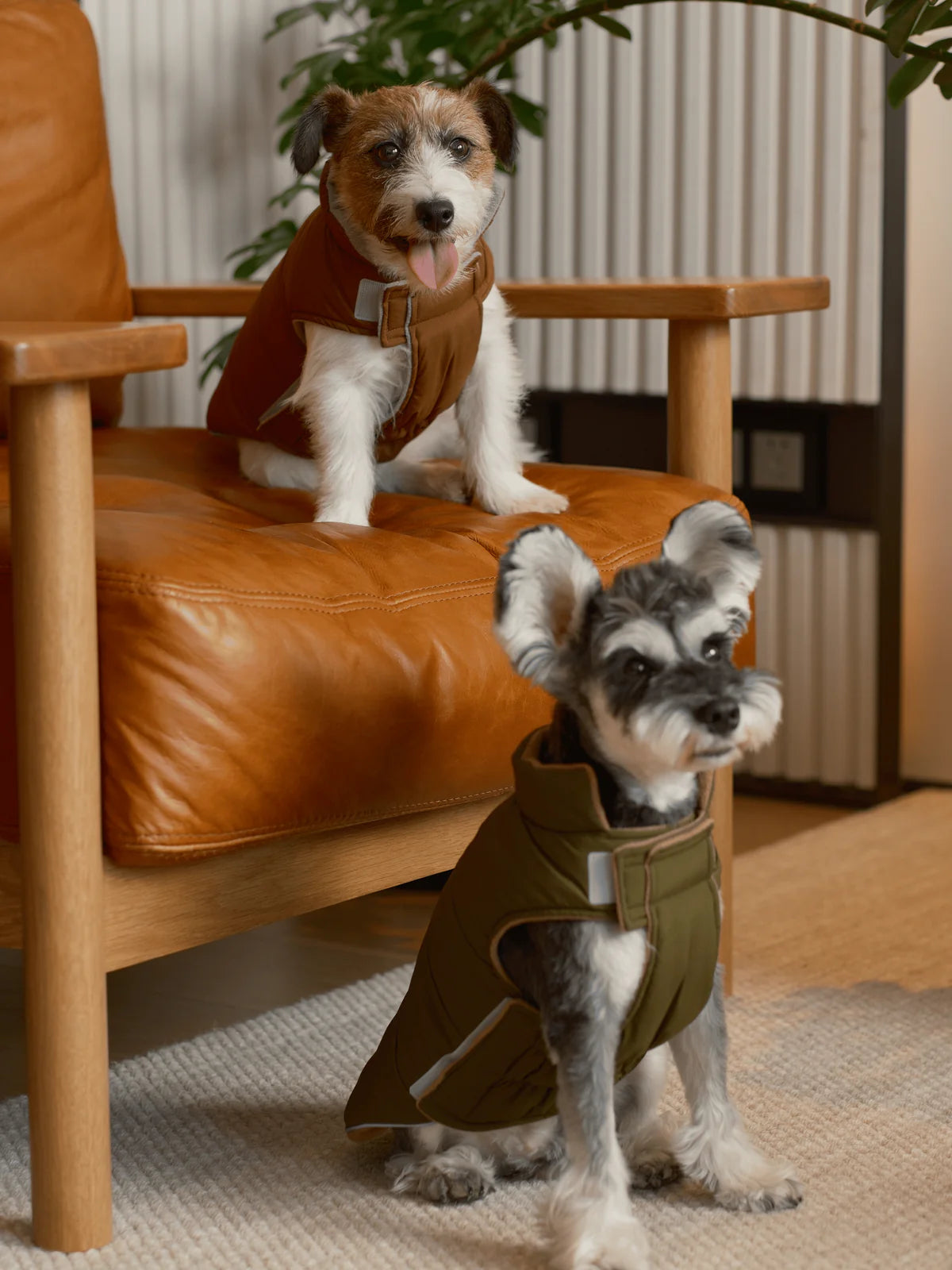 Reversible Dog Vest Jacket - Green/Brown