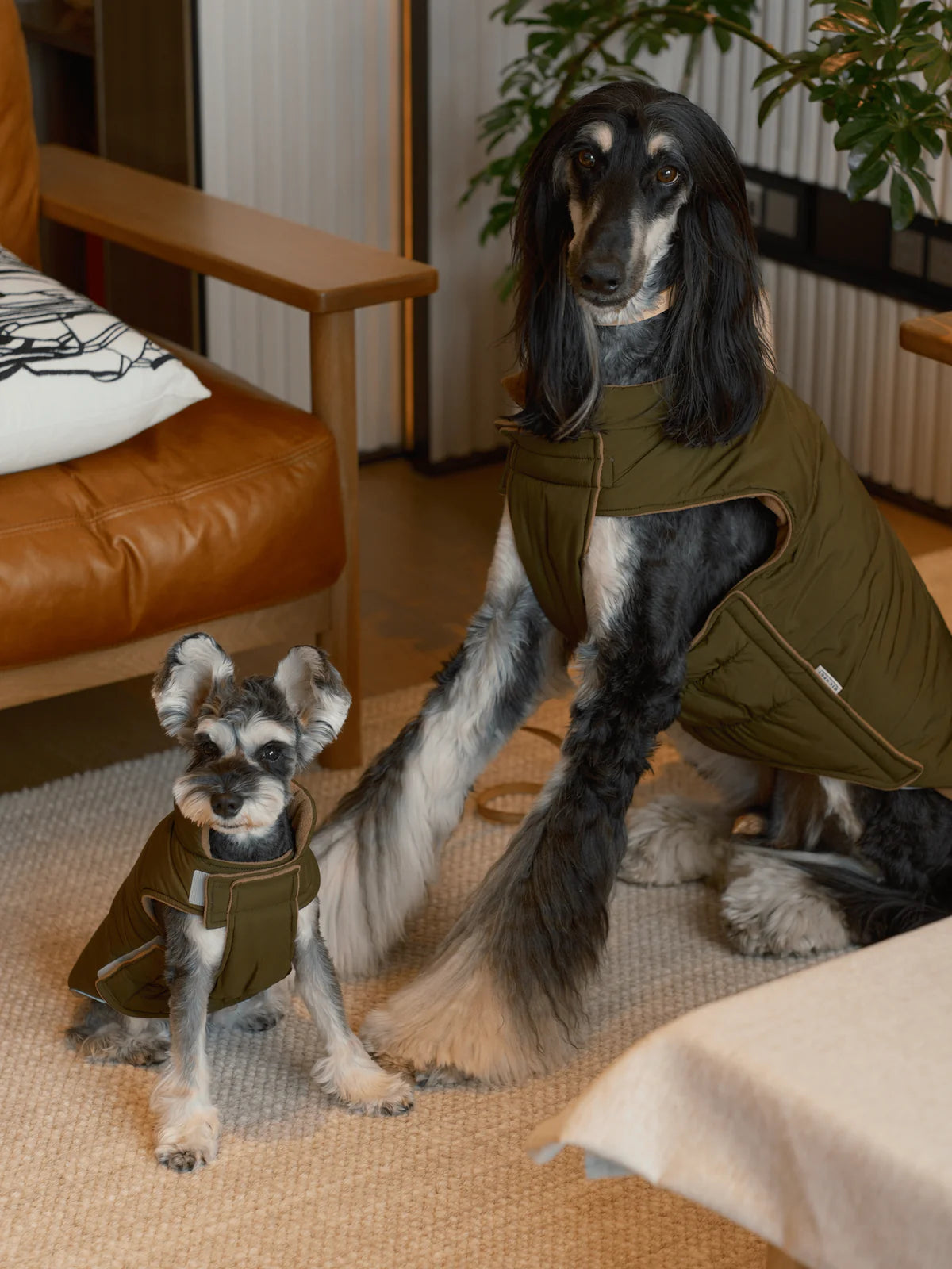 Reversible Dog Vest Jacket - Green/Brown
