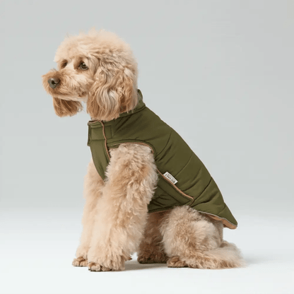 Reversible Dog Vest Jacket - Green/Brown