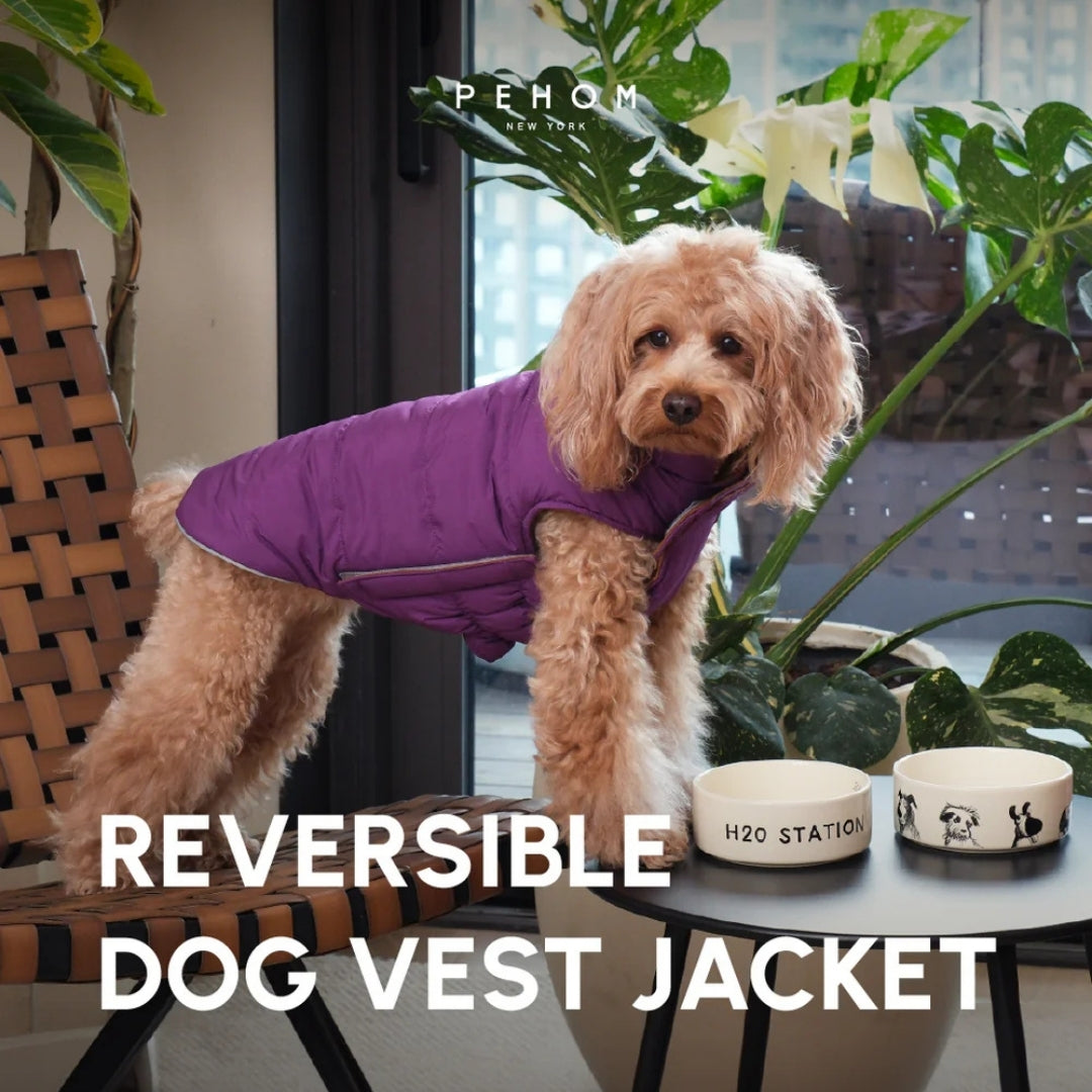 Reversible Dog Vest Jacket - Purple/Caramel