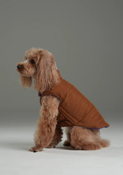 Reversible Dog Vest Jacket - Purple/Caramel