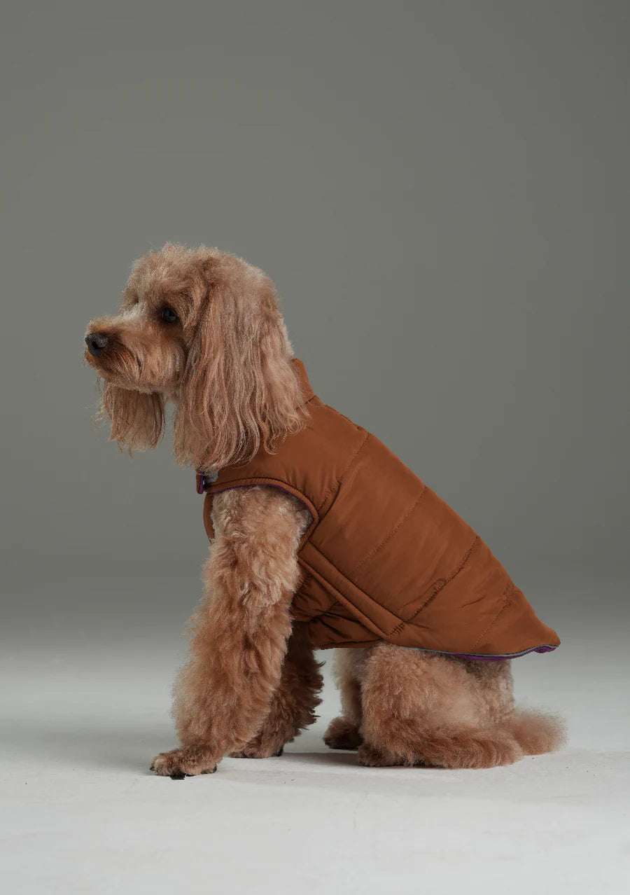 Reversible Dog Vest Jacket - Purple/Caramel