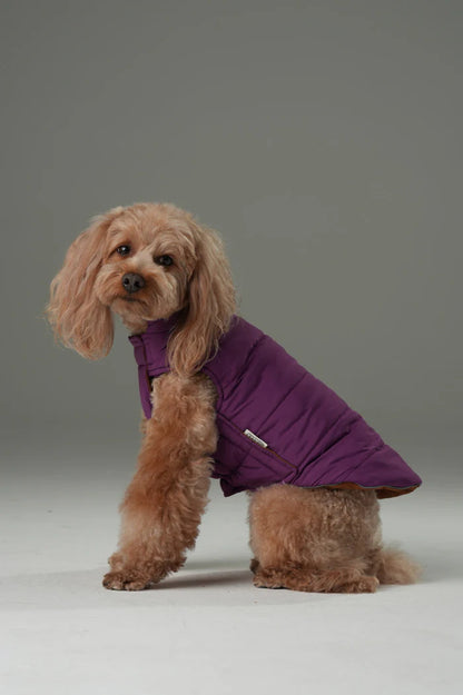 Reversible Dog Vest Jacket - Purple/Caramel