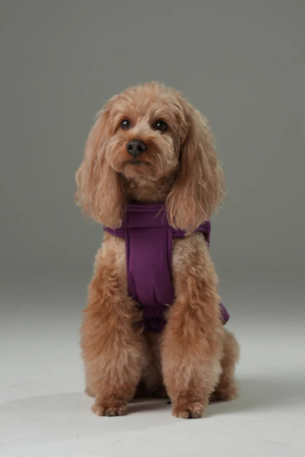 Reversible Dog Vest Jacket - Purple/Caramel