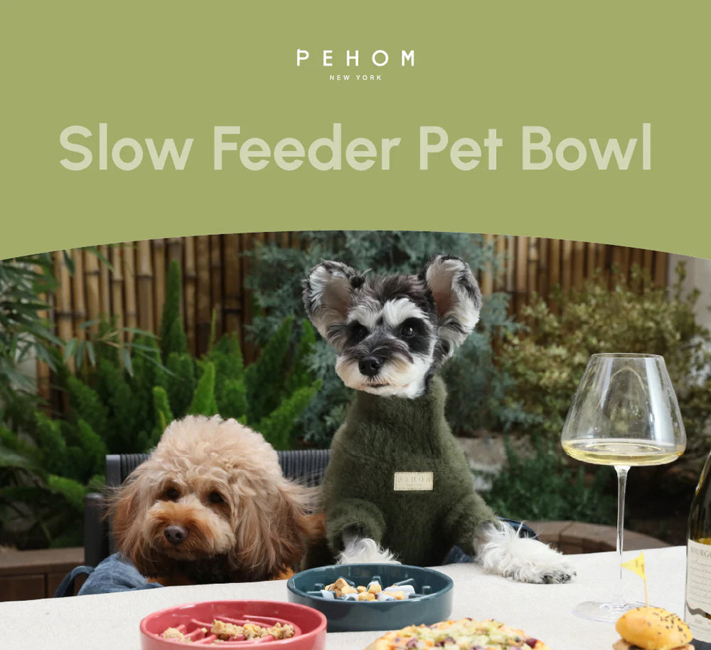 [SPARK] Slow Feeder Dog Bowls - Red