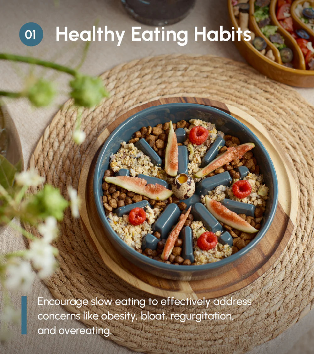 [SPARK] Slow Feeder Dog Bowls - Red