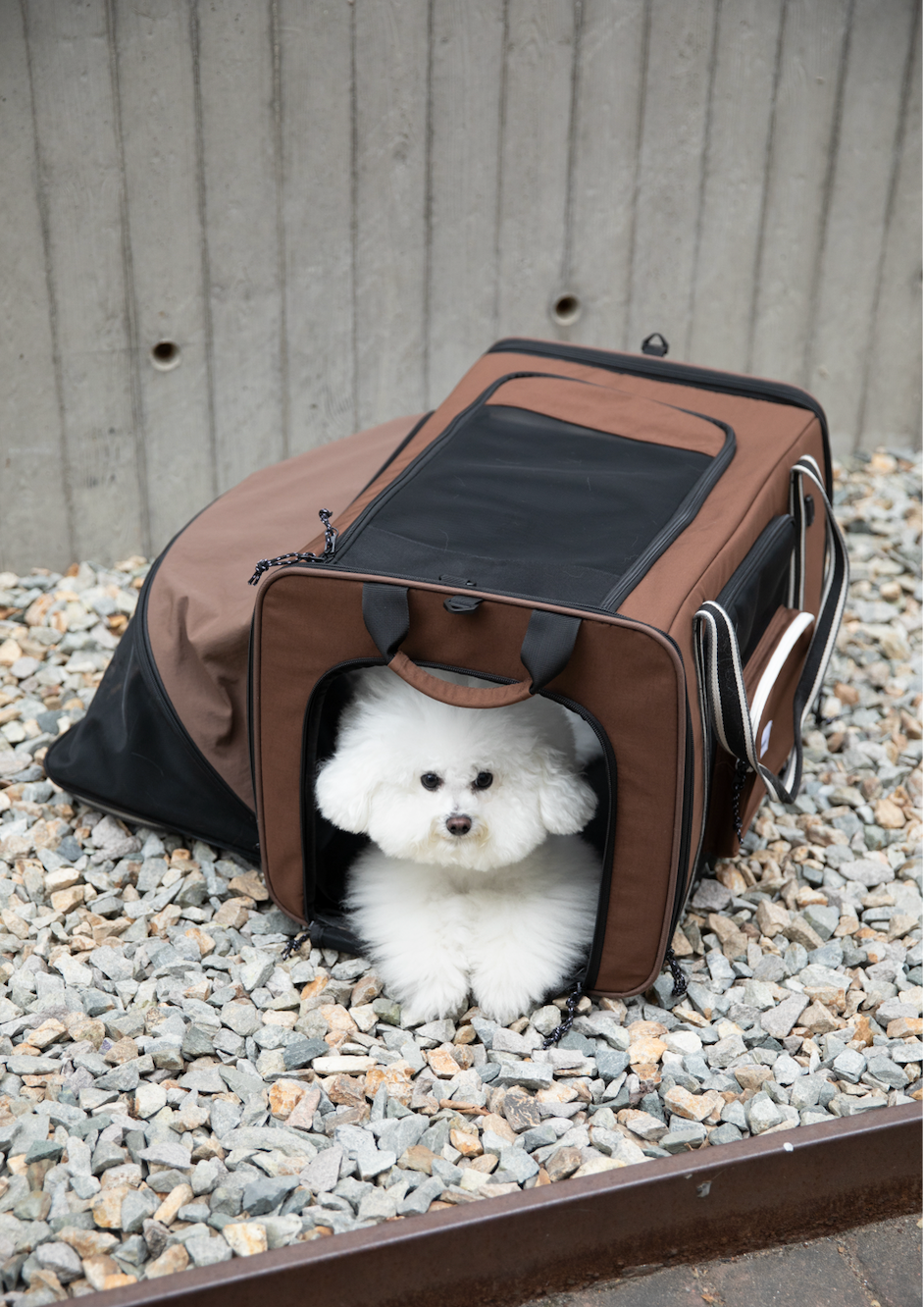 MAX Pet Tent Bag - Coffee Brown