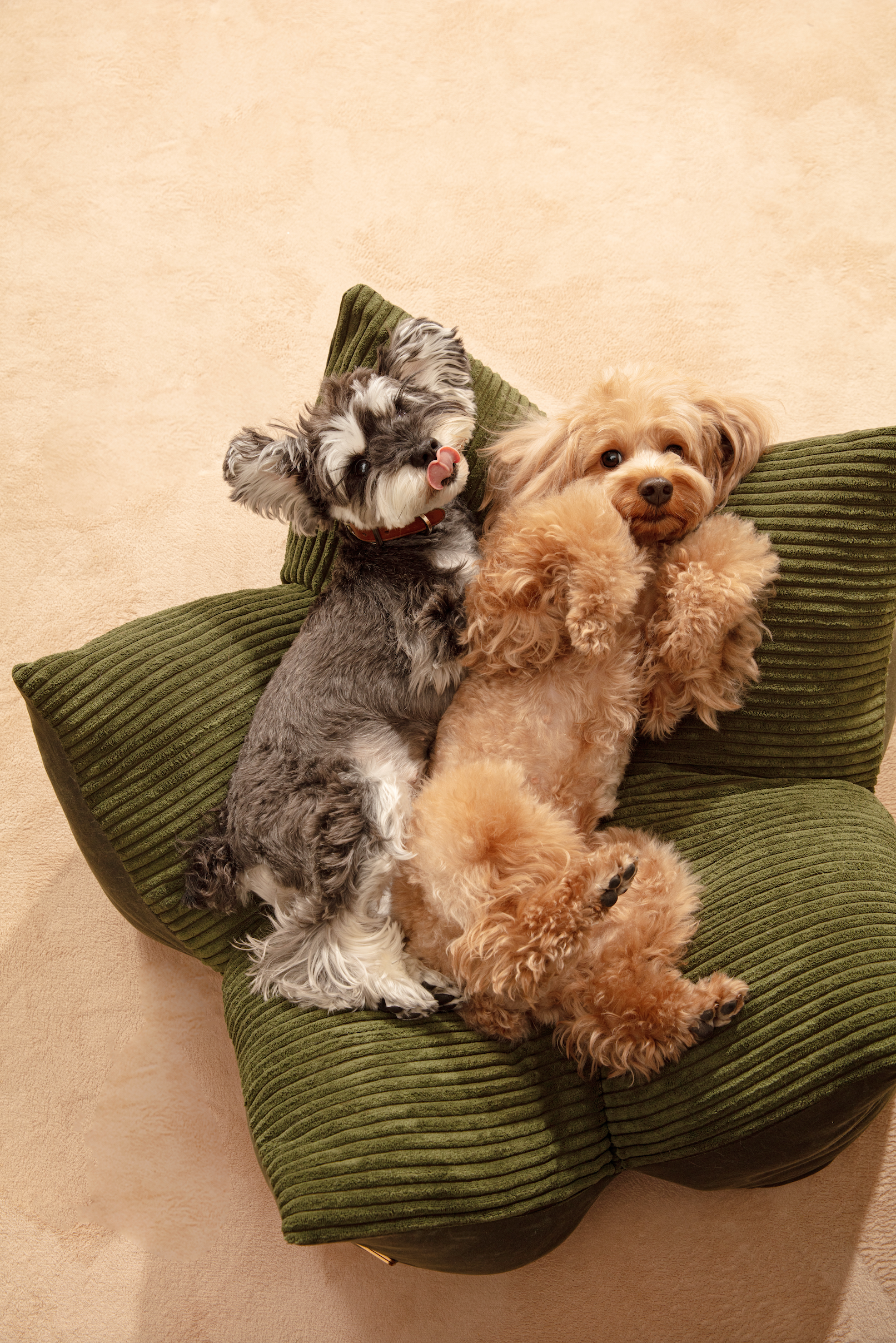 [OULU X Pehom] Cuddle Pet Pillow Bed - Olive Green