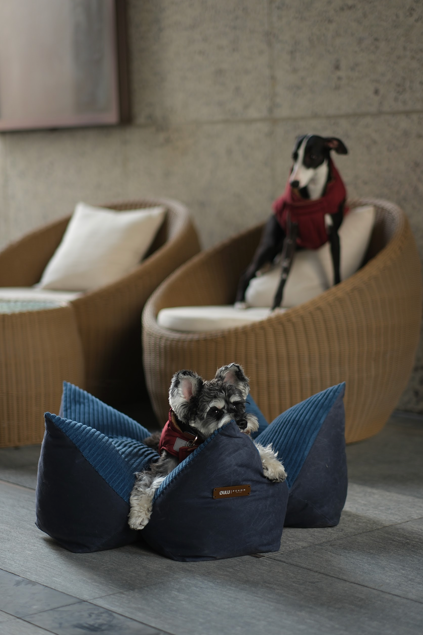 [OULU X Pehom] Cuddle Pet Pillow Bed - Navy Blue