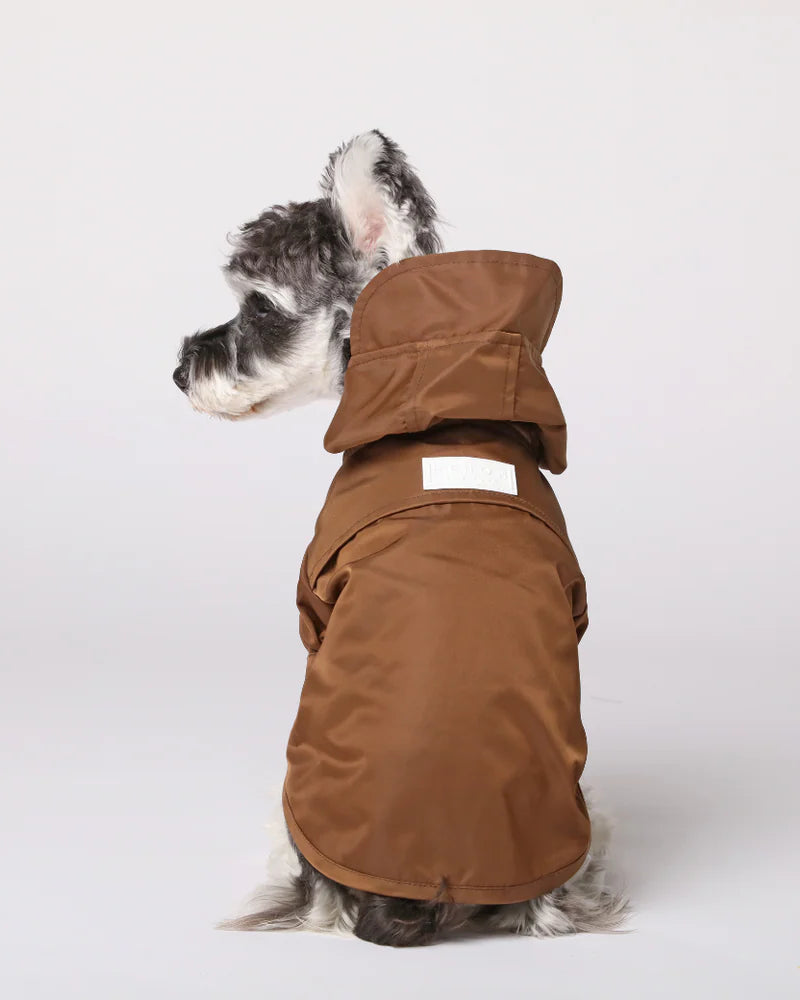 Dog wearing a brown raincoat on a white background