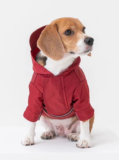 Tribeca Adjustable Velcro Raincoat - Burgundy