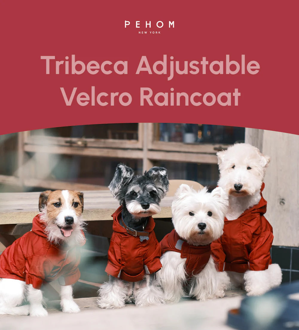 Tribeca Adjustable Velcro Raincoat - Burgundy