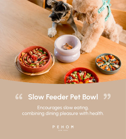 [WAVE] Slow Feeder Dog Bowls - Orange